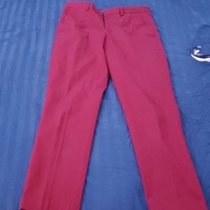 Express slacks